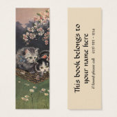 ヴィンテージ、タビー猫、ハンモックの子猫 (正面&裏面)