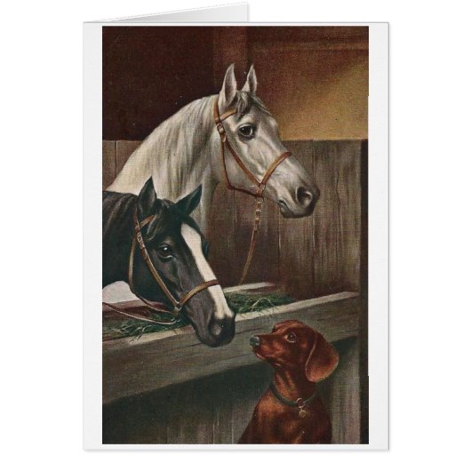 ヴィンテージ-ダックスフントは馬を訪問します、 (正面)