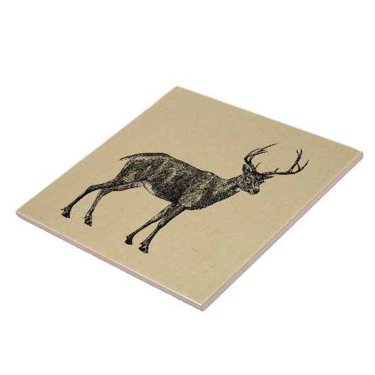 ヴィンテージ・ディア・ア図解入りの、写真付きのート・ディア タイル (側面)