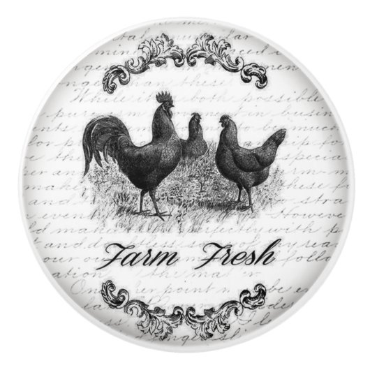 ヴィンテージ デザイン ドアまたは引き出し ハンドル セラミックノブ (正面)