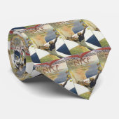 ヴィンテージ トラベル ポスター、飛行機の上を飛ぶナイス フランス ネクタイ (ロール)