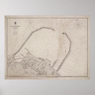 ヴィンテージ·ドゥン·ラオガイア·アイルランド地図(1857年) ポスター