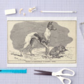 ヴィンテージ·ドッグ·エフェメラ·デコパージュ·ホイペット 薄葉紙 (クラフト)