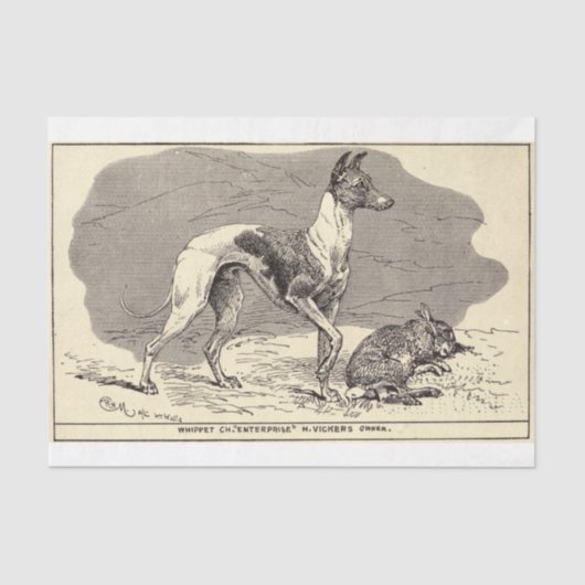 ヴィンテージ·ドッグ·エフェメラ·デコパージュ·ホイペット 薄葉紙 (正面)