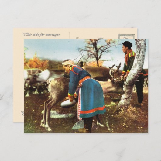 ヴィンテージ ノルウェー, サンタジカの搾乳 ポストカード (正面/裏面)