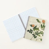 ヴィンテージ ノートブック (内部)