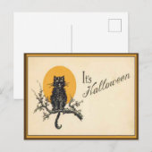 ヴィンテージ ハロウィン 猫 ポストカード (正面/裏面)