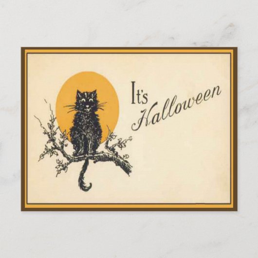 ヴィンテージ ハロウィン 猫 ポストカード (正面)