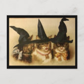 ヴィンテージ ハロウィン 黒猫 ポストカード (正面)