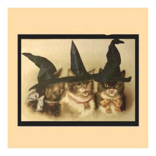 ヴィンテージ ハロウィン 黒猫 ポストカード