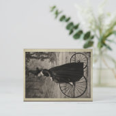 ヴィンテージ·ハロウィーン·ウィッチ ポストカード (スタンド正面)