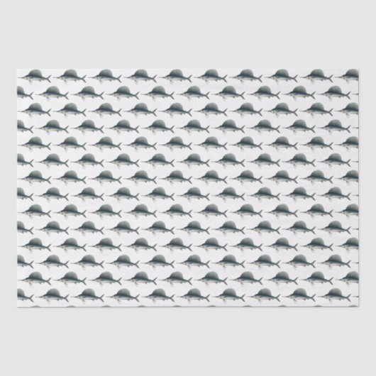 ヴィンテージ バショウカジキ 釣り絵 薄葉紙 (正面)