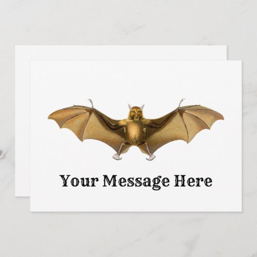 ヴィンテージ バット好きな人へのギフト 招待状 (正面/裏面)