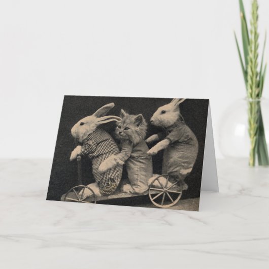ヴィンテージ-バニーおよび子ネコ、 カード (正面)