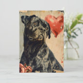 ヴィンテージ バレンタインデーのケンネル コルソ,  シーズンカード (スタンド正面)