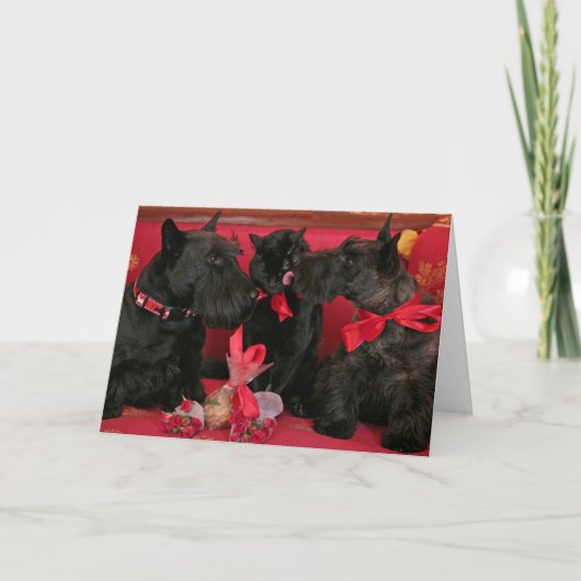 ヴィンテージ:バレンタインデー – シーズンカード (正面)