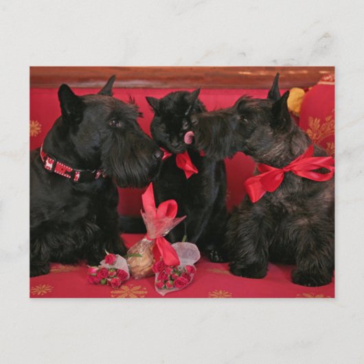 ヴィンテージ: バレンタインデー- シーズンポストカード (正面)