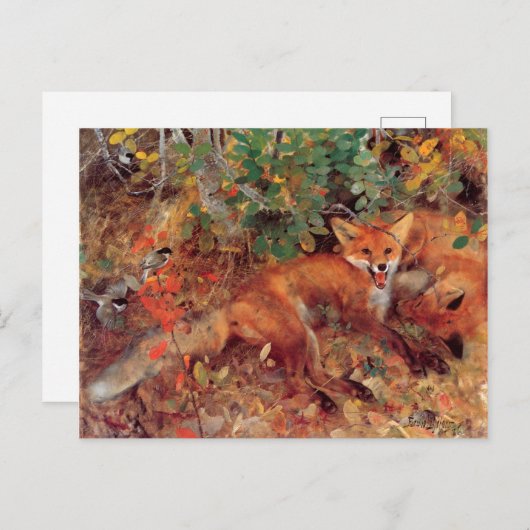 ヴィンテージ バード イエロー ブルーノ リルイェフォルス 狐 ポストカード (正面/裏面)