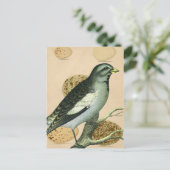 ヴィンテージ バード デジタル アート ポストカード (スタンド正面)
