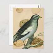 ヴィンテージ バード デジタル アート ポストカード (正面/裏面)