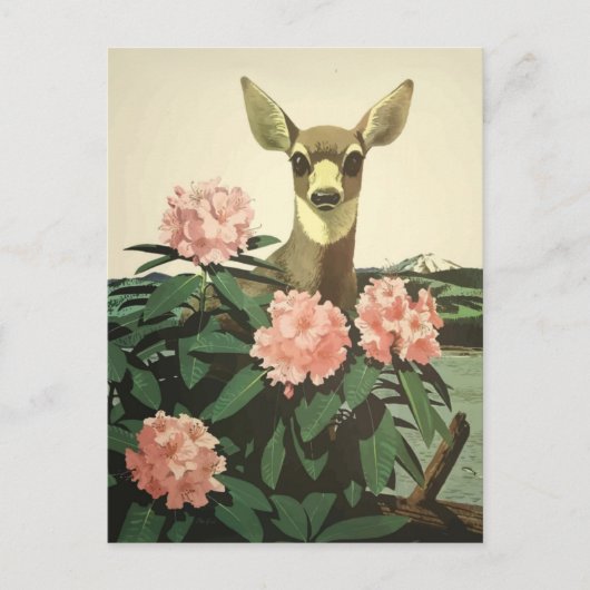 ヴィンテージ パシフィック ノース ウェスト イラスト ポストカード (正面)