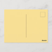 ヴィンテージ パナマシティ フロリダ ポストカード (裏面)