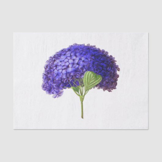 ヴィンテージ パープル アジサイ 花 フラワー 薄葉紙 (正面)