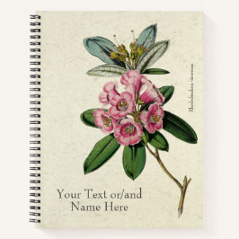 ヴィンテージ ビューティフル Rhododendron viscosum ノートブック