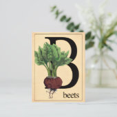 ヴィンテージ ビーツ ポストカード (スタンド正面)