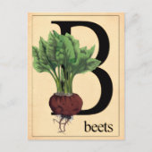 ヴィンテージ ビーツ ポストカード (正面)