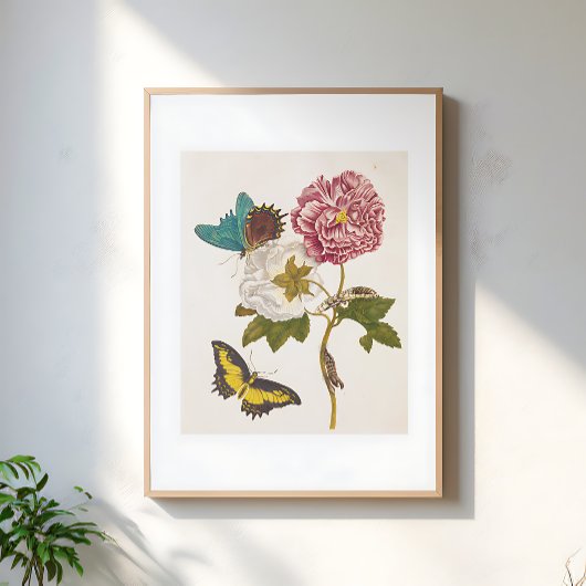 ヴィンテージ ピンクの芍薬の花、フラワーモチーフのイラスト ポスター