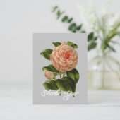 ヴィンテージ ピンク カメリア アルビノ ボッティ 感謝 ポストカード (スタンド正面)