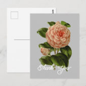 ヴィンテージ ピンク カメリア アルビノ ボッティ 感謝 ポストカード (正面/裏面)