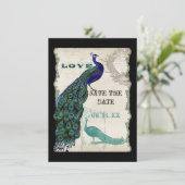 ヴィンテージ・ピーコック5 - 保存の日付 セーブザデート (スタンド正面)