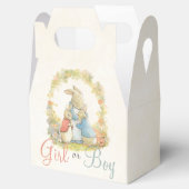 ヴィンテージ・ピーターザラビットジェンダーが男の子を明かす フェイバーボックス (オープン)