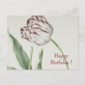 ヴィンテージ ファインアート 白と赤のチューリップの誕生日 ポストカード (正面)