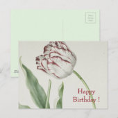 ヴィンテージ ファイン アート 白と赤のチューリップ 誕生日 ポストカード (正面/裏面)