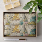 ヴィンテージ フラワーのコラージュ Aged Paper Texture付き 薄葉紙 (ギフト)