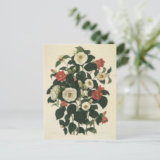 ヴィンテージ フラワーリース, アンティーク ガーデン ローズ 花 ポストカード (スタンド正面)