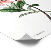 ヴィンテージ フラワー イラスト ポスター (角)