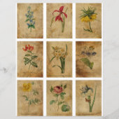 ヴィンテージ フラワー ATC カード スクラップブック ページ (正面)