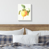 ヴィンテージ フルーツ フード、レドゥートによるカルヴィル アップル キャンバスプリント (インサイチュ (寝室))