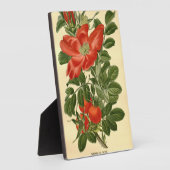 ヴィンテージ フローラル レッド シワシワ ローズ ロサ ルゴサ フォトプラーク (側面)