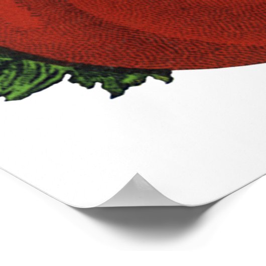 ヴィンテージ フーズ、熟したトマト、野菜と果物 ポスター (角)