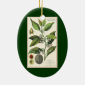 ヴィンテージ フード ハーブ スパイス、クローブの植物 セラミックオーナメント (裏面)