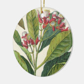 ヴィンテージ フード ハーブ スパイス、クローブの植物 セラミックオーナメント (左)