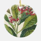 ヴィンテージ フード ハーブ スパイス、クローブの植物 セラミックオーナメント (裏面)