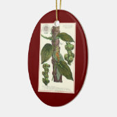 ヴィンテージ フード ハーブ スパイス、コショウの木 セラミックオーナメント (左)