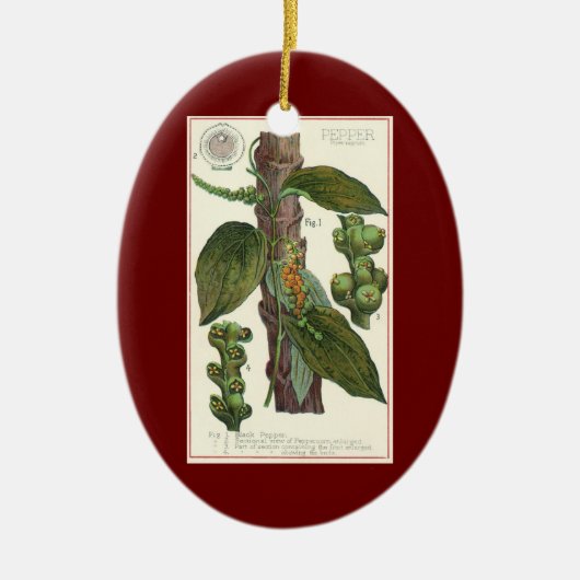 ヴィンテージ フード ハーブ スパイス、コショウの木 セラミックオーナメント (正面)