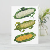 ヴィンテージ フード ヘルシー ベジタブルズ、フレッシュ コーン オン ザ コブ (スタンド正面)